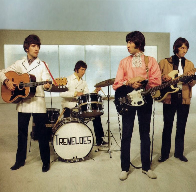 The Tremeloes – Here Comes My Baby (1967)