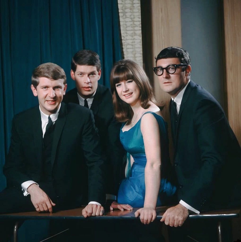 I’ll Never Find Another You – 1965 by 
The Seekers